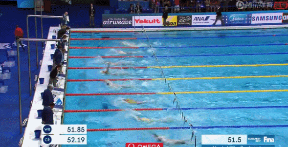 8.gif 8.gif