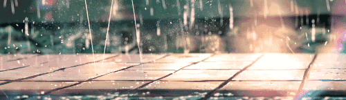 3.gif 3.gif